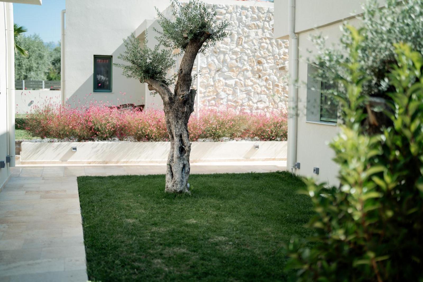 Magnolia Villas Potos Thassos ภายนอก รูปภาพ