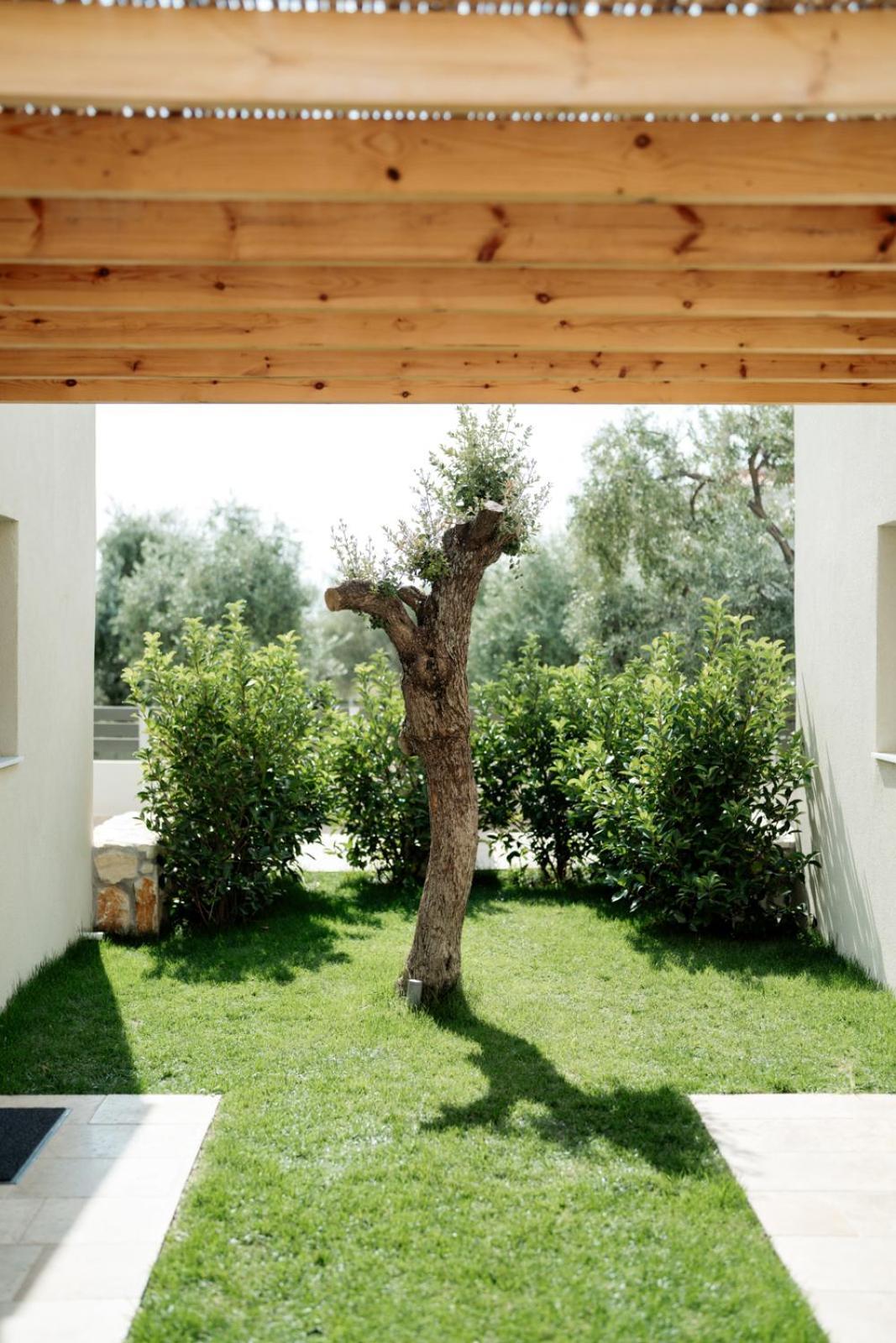 Magnolia Villas Potos Thassos ภายนอก รูปภาพ